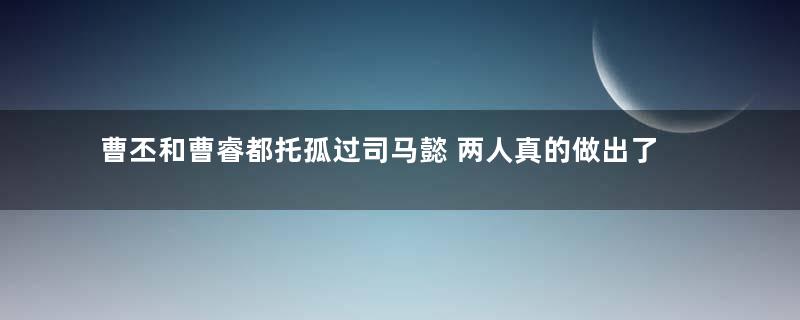 曹丕和曹睿都托孤过司马懿 两人真的做出了吗